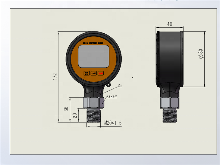 CWY80-1 Digital Pressure Gauge factory