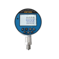 Kalibratur tal-Pressjoni Diġitali CWY300